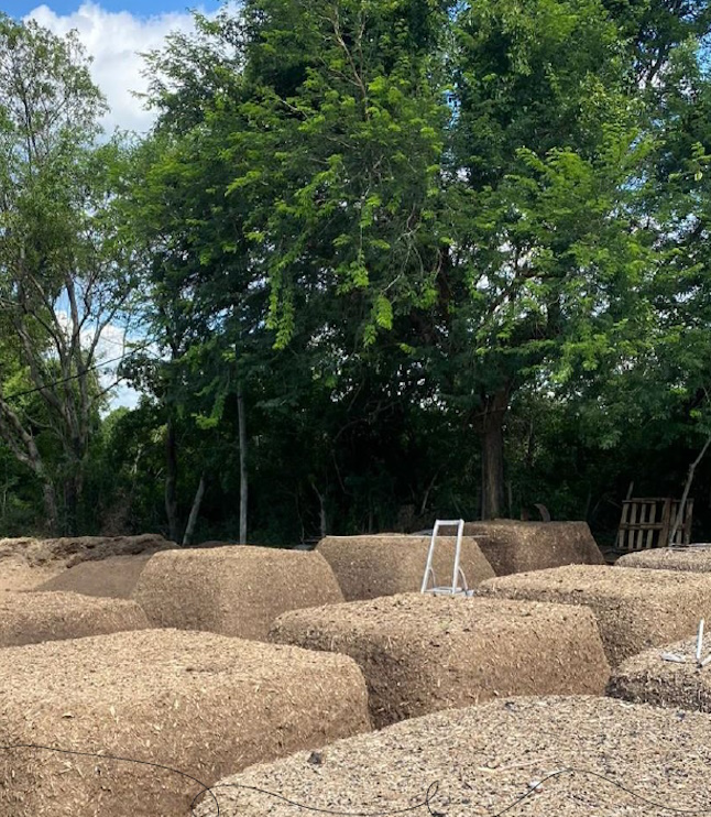 EM und Terra Preta / EM y Tierra Negra